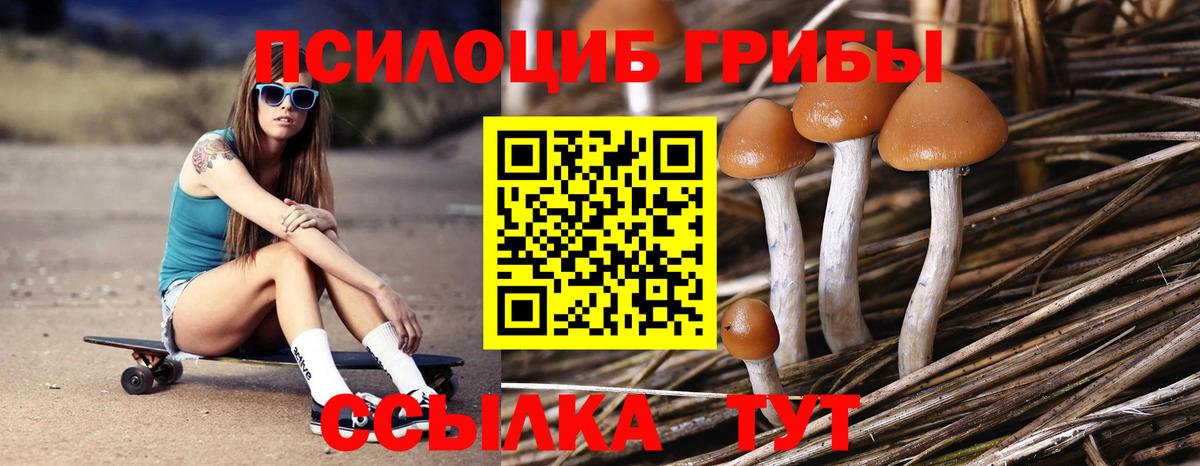 Псилоцибиновые грибы Psilocybe  Вход с VPN  Добрянка 
